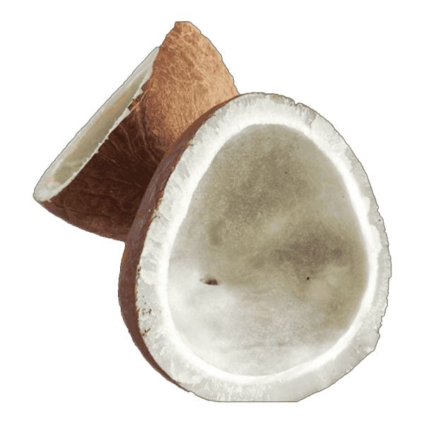 Dry Coconut (Sukha Nariyal)